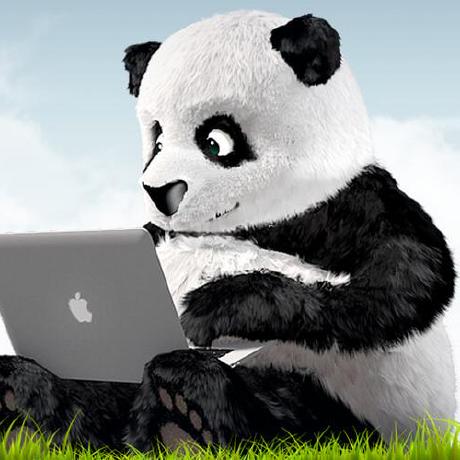 Lamanwrk Laman Mammadova Github - Creative Sunset Photo - Ultra HD