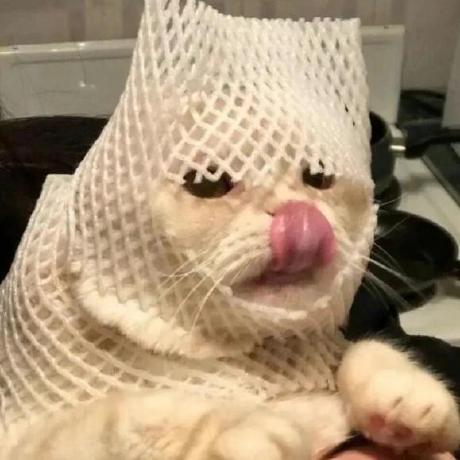 Releases Ienone Douyu Qmx Pro Github - Best Mountain Pictures in HD