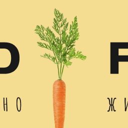 Github Gothax Healthy Food - Ultra HD Nature Pictures for Desktop