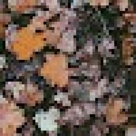 Skloismary Mary Github - Ocean Background Collection - Desktop Quality