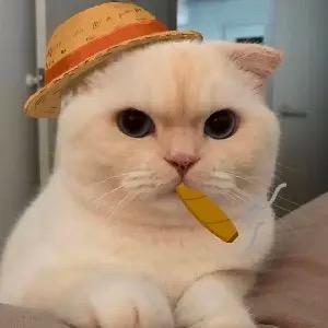 Xw Zeng Xiaowei Zeng Github - Download Classic Mountain Picture | Full HD