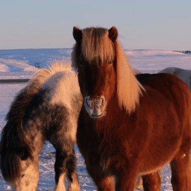 Suvorovatatyanasergeevna Tatyana Github - Elegant Sunset Pattern - Full HD