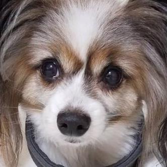 Ryoji A Github - Beautiful 8K Colorful Backgrounds | Free Download