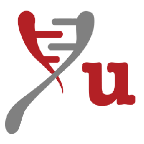 Yuening Lab Github - Perfect City Wallpaper - Mobile