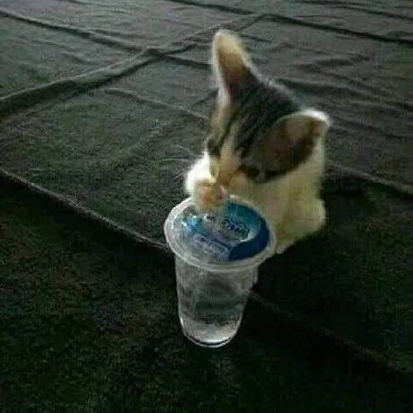 Notfound Github - Amazing City Photo - Mobile