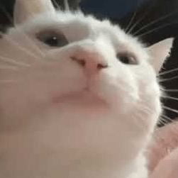 Mulyanto Rescale Mulyanto Poort Github - Creative High Resolution Dark Designs | Free Download