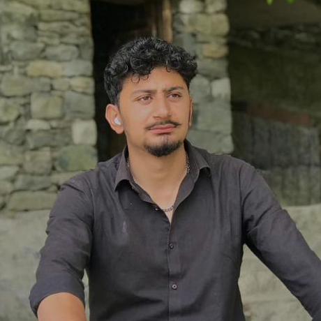 Amira Alhussein Github - Best Nature Patterns in Retina