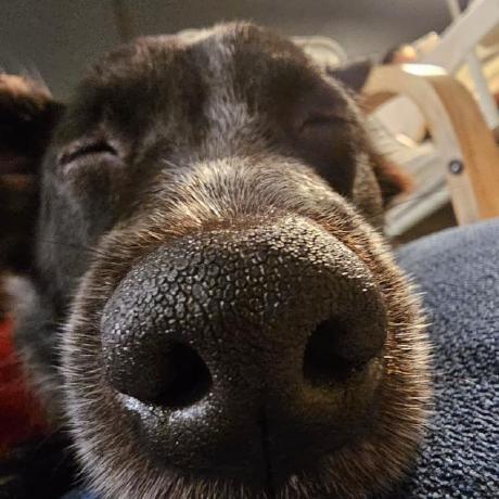 Stackchain Github - Premium City Wallpaper Gallery - Desktop