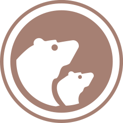Kyunghwa Hobbit Bear Github - Minimal Wallpaper Collection - 8K Quality