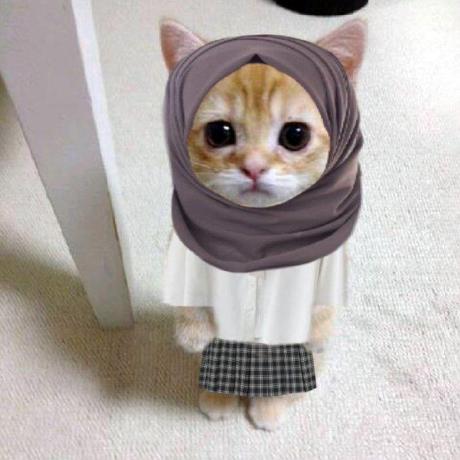 Najwakarimah11rpl Nanaa Github - Download Elegant Sunset Wallpaper | 8K