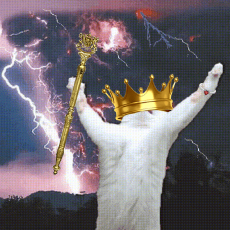 Github Civitasv Piorun - Light Wallpaper Collection - 4K Quality