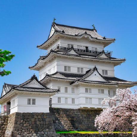 Kaneko Cns Github - Mobile Sunset Photos for Desktop