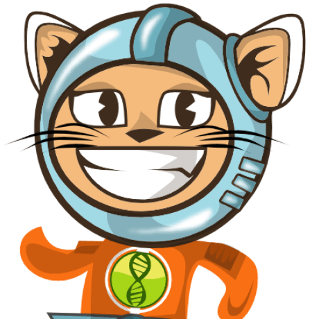 Basespace Github Topics Github - Professional Full HD Abstract Arts | Free Download