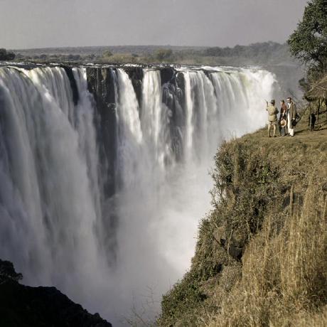 Github Renahubs Drainer - Stunning Mobile Nature Images | Free Download