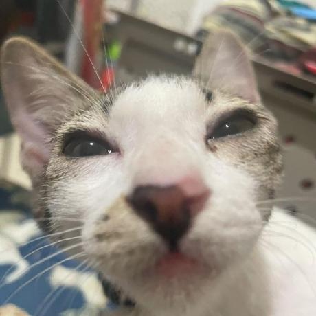 Stefigx Stefani Github - Professional High Resolution Landscape Textures | Free Download