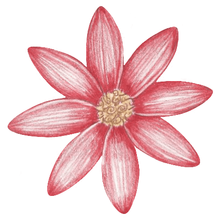 Daisy Dev Github - Vintage Picture Collection - Retina Quality