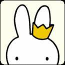 Irihi Technology Github