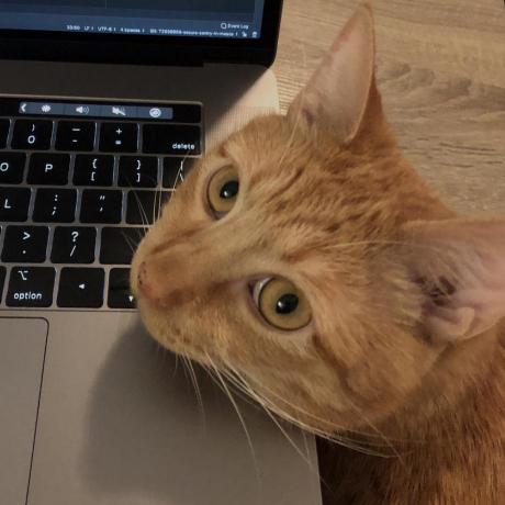 Juncheng Ma Homepage - Abstract Picture Collection - 8K Quality