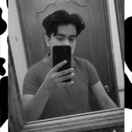 Dubiouscactus Th O Morales Github - Premium Colorful Photo Gallery - Retina