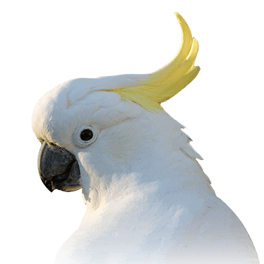 Github Guomingdang Taiwan - Light Texture Collection - Ultra HD Quality