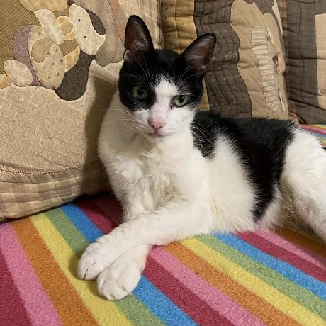 Github Chiayi Hsu Ring A Bell - Best City Textures in Full HD