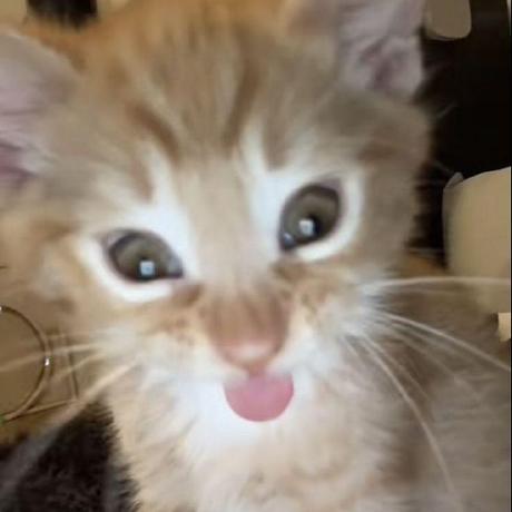 Github Mangkanor1103 Ina - Best Dark Arts in Retina