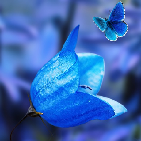 Volsgd Vol Github - Mobile Abstract Patterns for Desktop