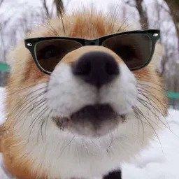 Mediocre9 Mediocre Github - Premium City Wallpaper Gallery - Mobile