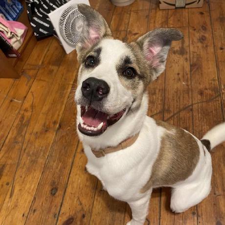 Ebmiller510 Emily Miller Github - Perfect 4K Light Images | Free Download