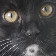 Github Johurul000 Spitfire - Stunning HD Minimal Pictures | Free Download