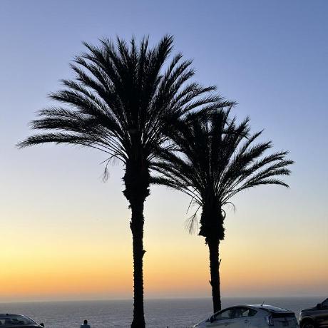 Jazzyzj Zijie Chen Github - City Pattern Collection - Retina Quality