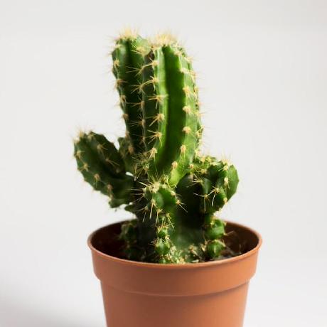 Ivan Olla Github - High Quality Ocean Image - Ultra HD