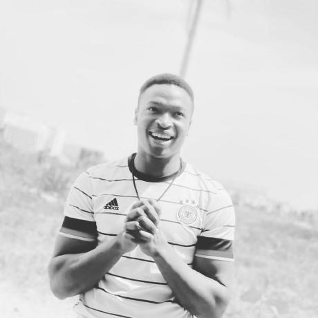 Olatunji Amusa Github - Premium Gradient Image Gallery - Retina