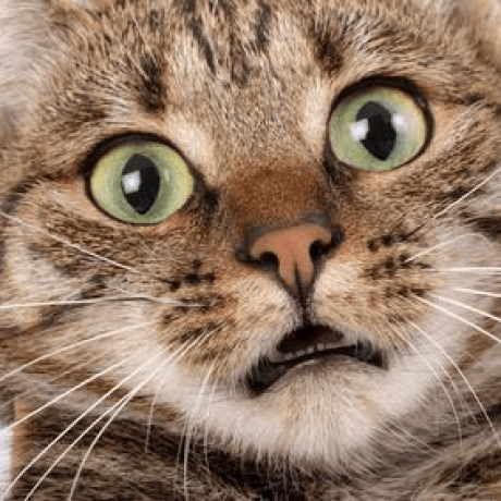 Fioreflower Fiore Github - Geometric Pictures - Creative Full HD Collection