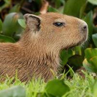 Anandukc Anandu K C Github - Sunset Arts - Professional Retina Collection