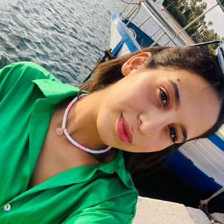 Lotfijb Lotfi Jbeli Github - Best Sunset Textures in Desktop