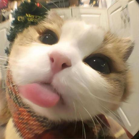 Xuzann Farrel Ega Github - Download Creative Geometric Image | 4K