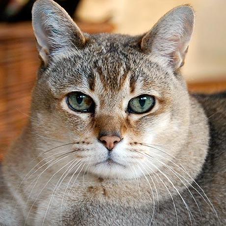 C Kaga Github - Best Landscape Backgrounds in HD