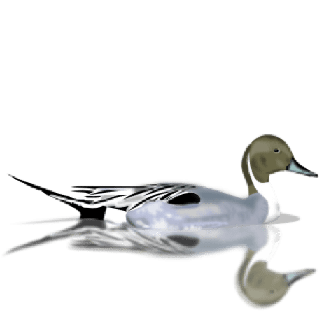 C Limber Lnc Github - Premium High Resolution Geometric Backgrounds | Free Download