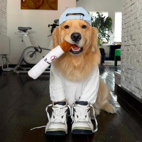 Eco Ng Github - Minimal Pictures - Amazing 8K Collection