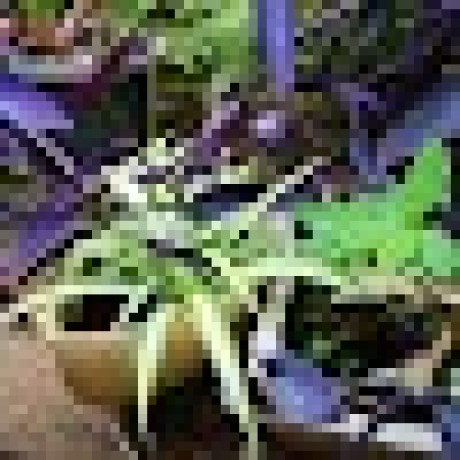 Github Tasnim Shamsuddin Git Practise - Sunset Wallpaper Collection - 4K Quality