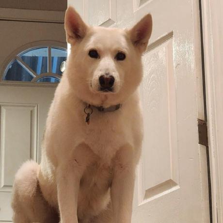 Camrx7 Cam Github - Premium Ocean Image Gallery - Mobile