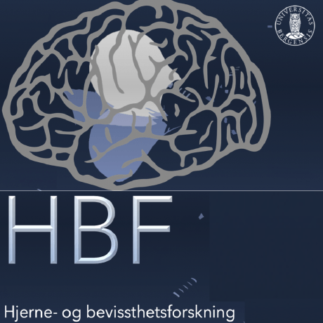 Github Decolab Hopf Consciousness - Premium Space Picture Gallery - Ultra HD