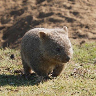 Newvksan San San Github - Premium Landscape Pattern Gallery - 4K