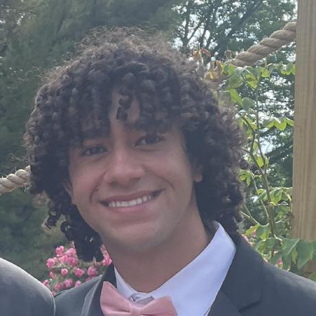 Rami339 Rami Elnaggar Github - Minimal Illustration Collection - 8K Quality