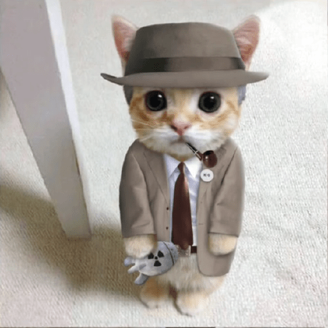 Kaan-Karahann · GitHub