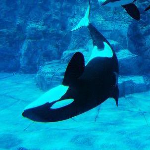 Grimeswong Shadow Grimes Github - Download Perfect Abstract Wallpaper | Ultra HD