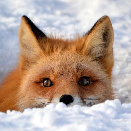 Microhobby Matheus Castello Github - Premium Ocean Picture Gallery - Desktop