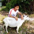 Github Jmzeng1314 Biotrainee - Landscape Texture Collection - Mobile Quality