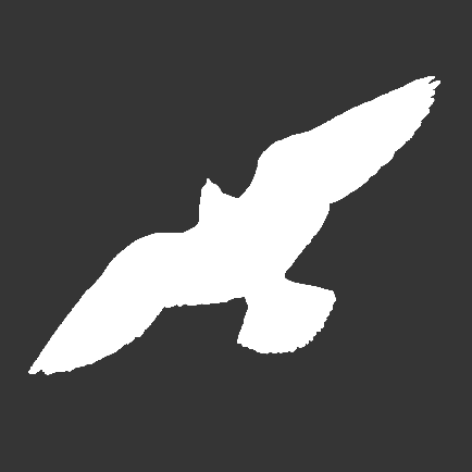 Falcon Vision Group Github - Ultra HD Nature Background - Retina